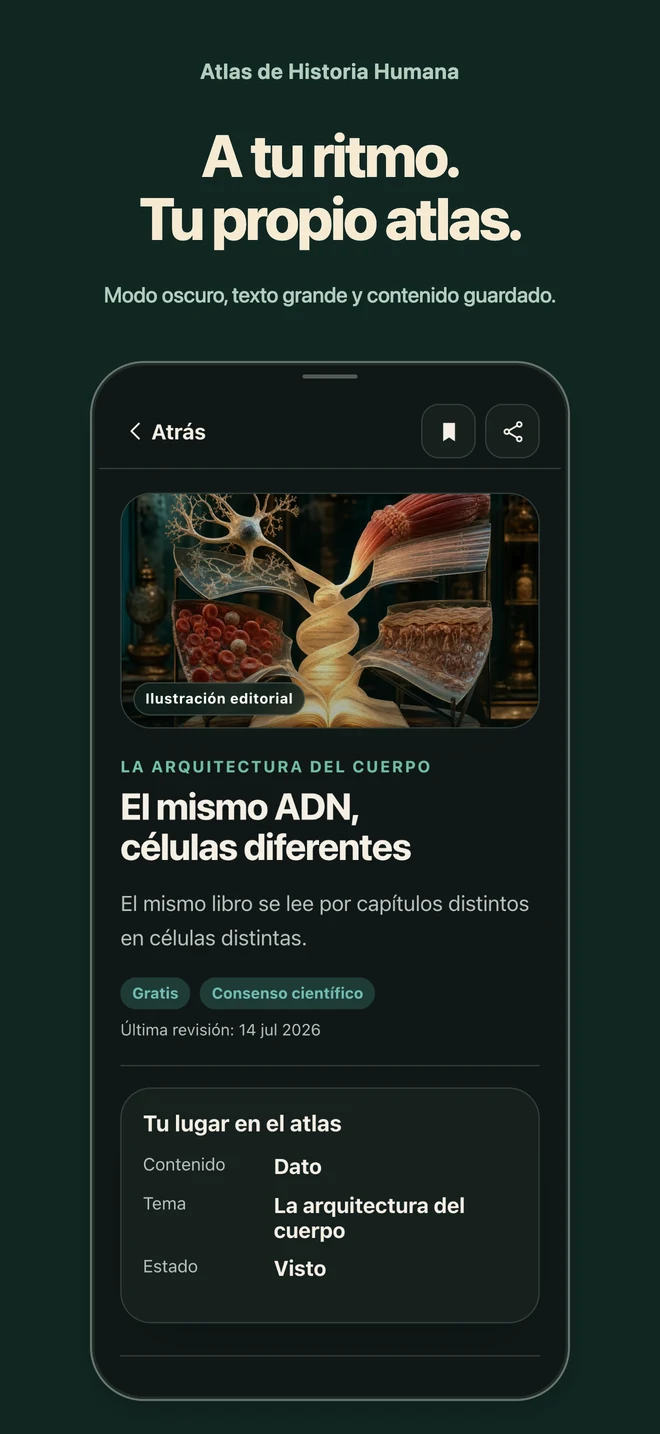 Atlas de Historia Humana: A tu ritmo. Tu propio atlas. Modo oscuro, texto grande y contenido guardado.