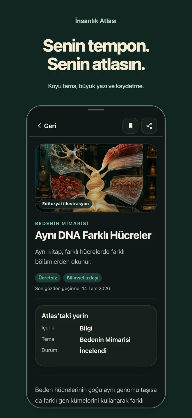 İnsanlık Atlası: Senin tempon. Senin atlasın. Koyu tema, büyük yazı ve kaydetme.