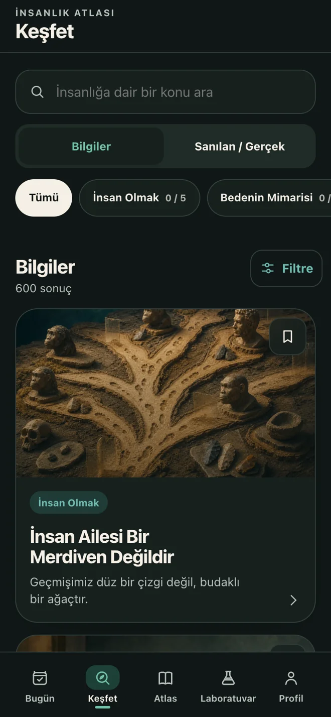 Explore: fact cards — actual Turkish app screen in dark mode