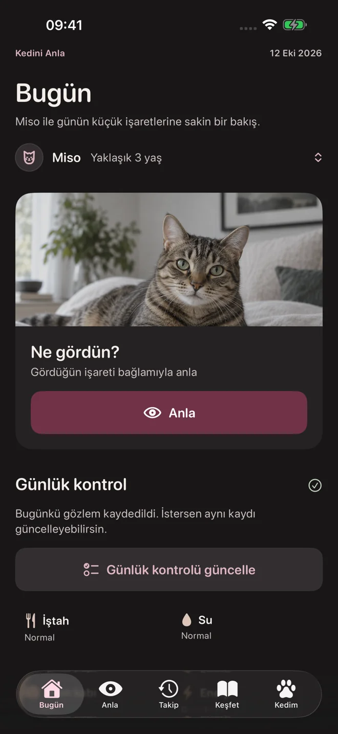 A calm look at daily signs — actual Turkish app screen in dark mode