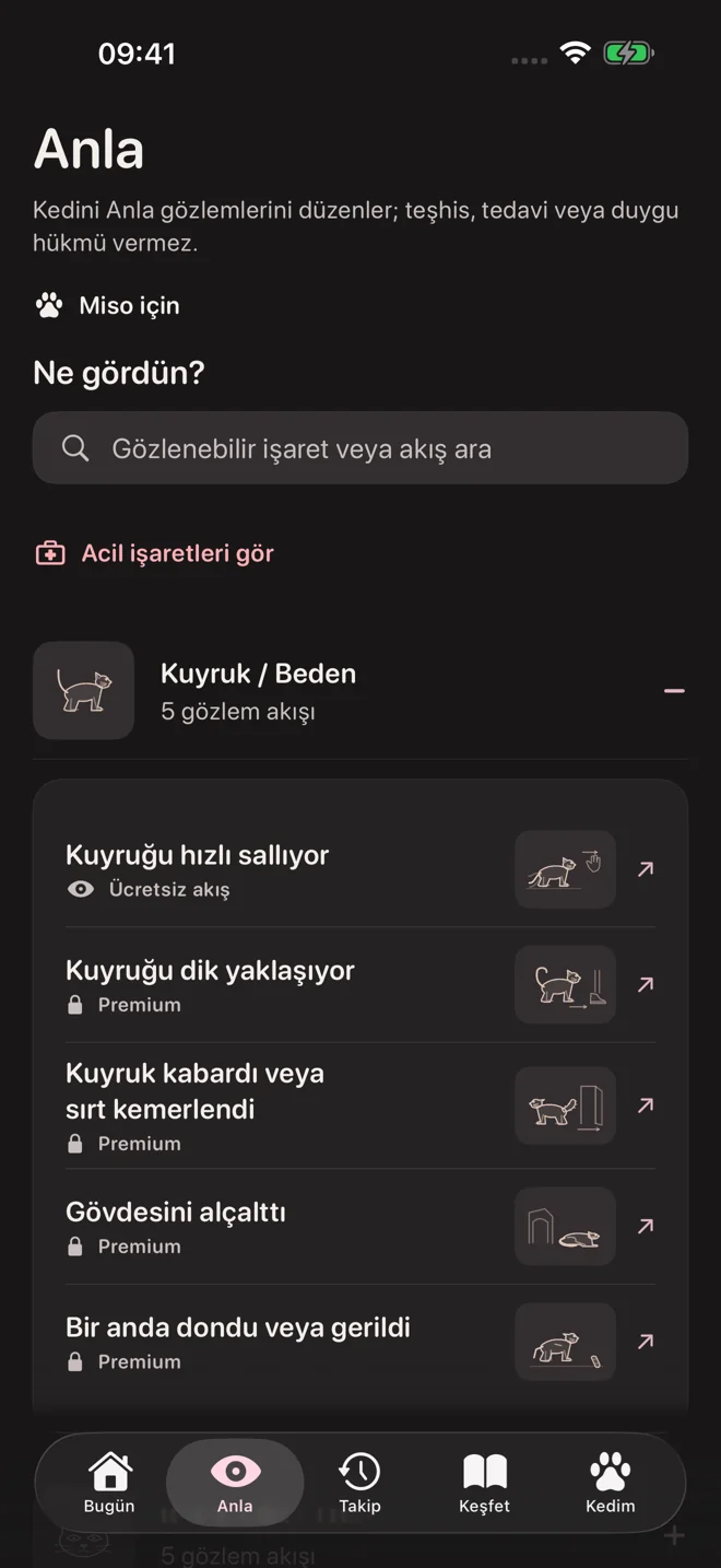 Understand behavior in context — actual Turkish app screen in dark mode